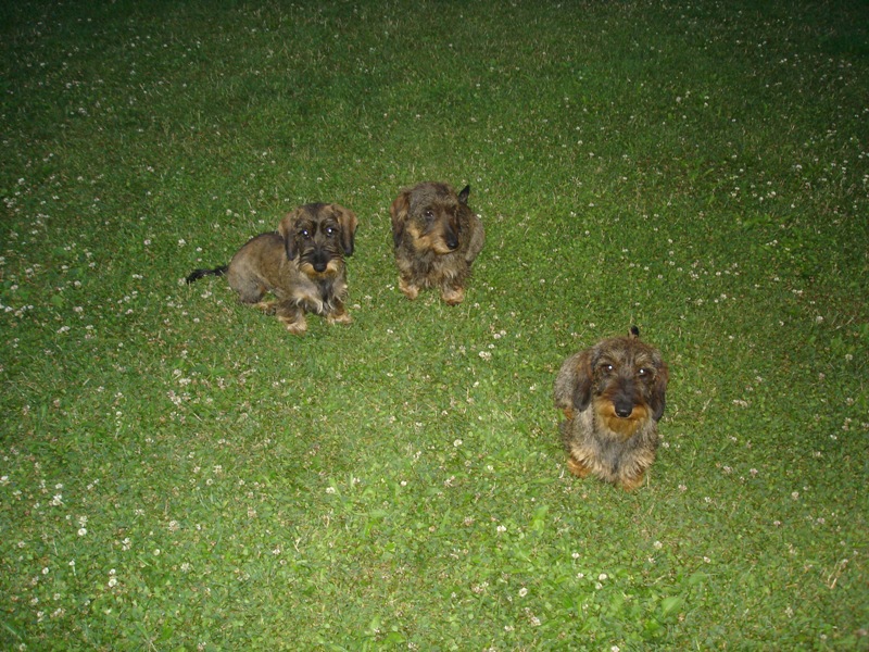 DSC03093.JPG